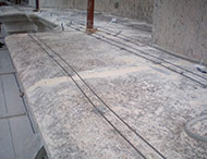 Vrapci i galebovi